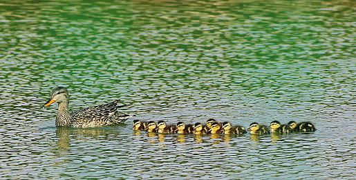 《铁拳8》将更新全新拍照模式全部角色追加新招式